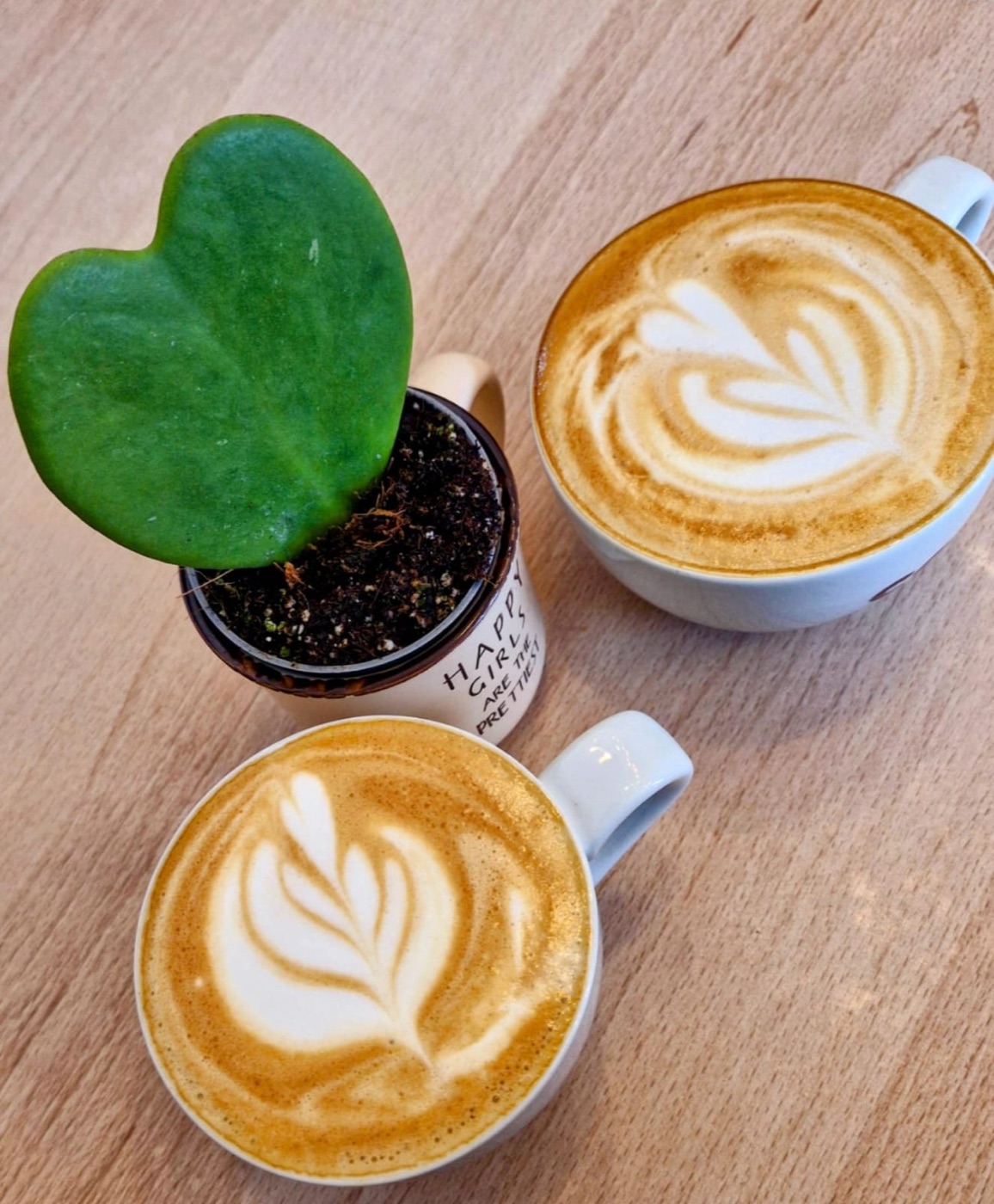 Două căni de cafea cu latte art și o plantă cu frunză în formă de inimă